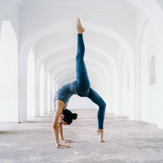 Fitness, Wellbeing & Nutrition