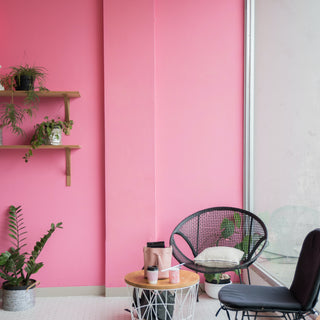 Home & Garden